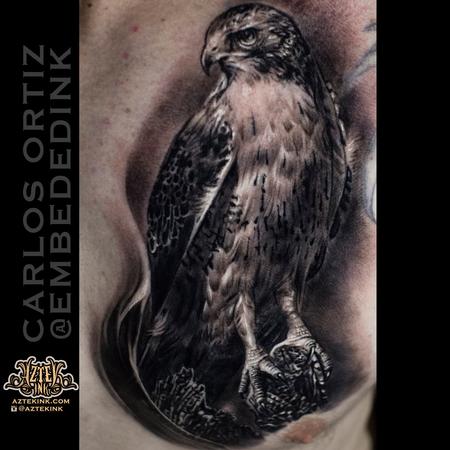 Carlos Ortiz - hawk tattoo by Carlos Ortiz 